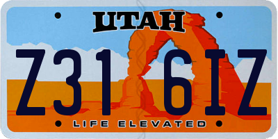 UT license plate Z316IZ