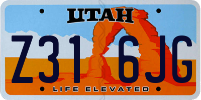UT license plate Z316JG