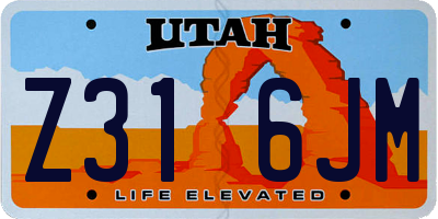 UT license plate Z316JM