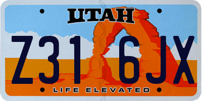 UT license plate Z316JX