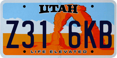 UT license plate Z316KB