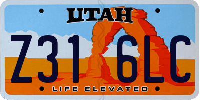 UT license plate Z316LC