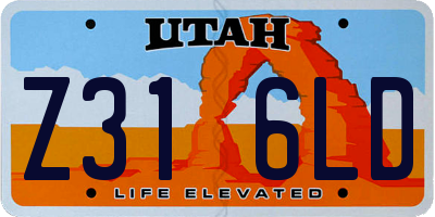 UT license plate Z316LD