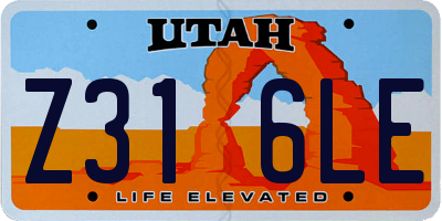 UT license plate Z316LE