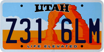 UT license plate Z316LM
