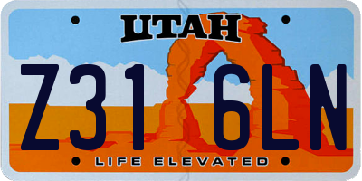 UT license plate Z316LN