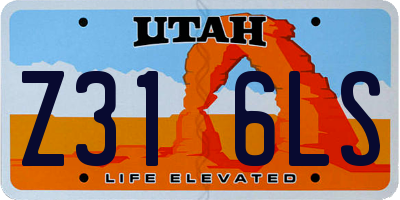 UT license plate Z316LS