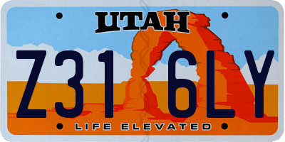 UT license plate Z316LY