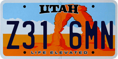 UT license plate Z316MN