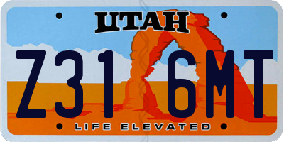 UT license plate Z316MT