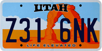 UT license plate Z316NK