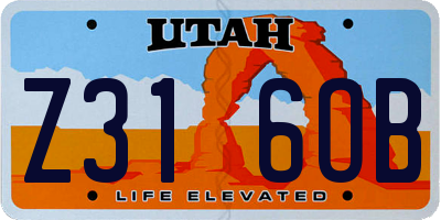 UT license plate Z316OB