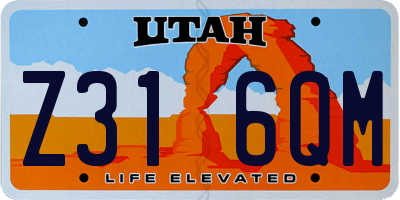UT license plate Z316QM
