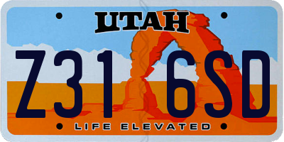 UT license plate Z316SD