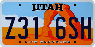 UT license plate Z316SH