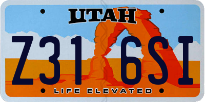 UT license plate Z316SI
