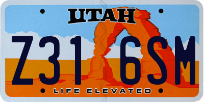UT license plate Z316SM