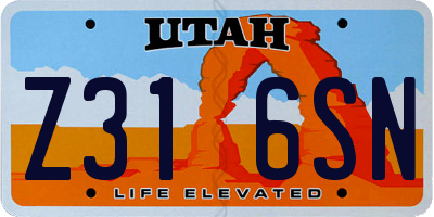 UT license plate Z316SN