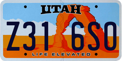 UT license plate Z316SO