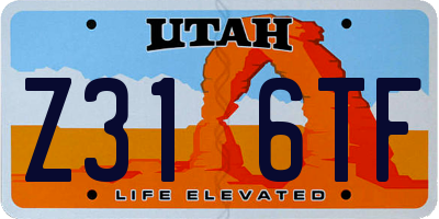 UT license plate Z316TF