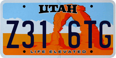 UT license plate Z316TG