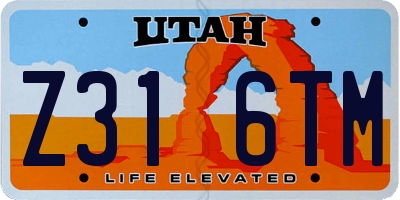 UT license plate Z316TM