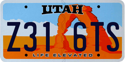 UT license plate Z316TS