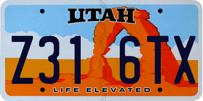 UT license plate Z316TX