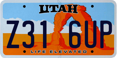 UT license plate Z316UP