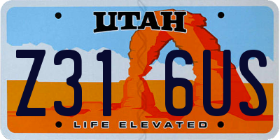 UT license plate Z316US