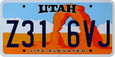 UT license plate Z316VJ