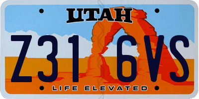 UT license plate Z316VS