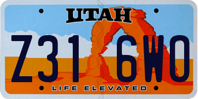 UT license plate Z316WO