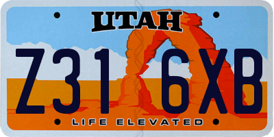 UT license plate Z316XB