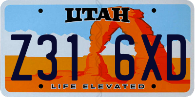 UT license plate Z316XD