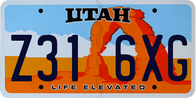 UT license plate Z316XG