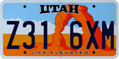 UT license plate Z316XM
