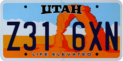 UT license plate Z316XN