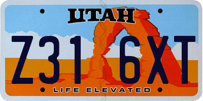 UT license plate Z316XT