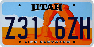 UT license plate Z316ZH