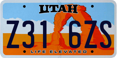 UT license plate Z316ZS
