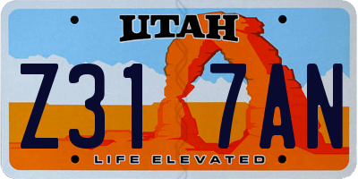 UT license plate Z317AN