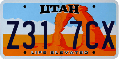 UT license plate Z317CX