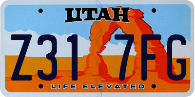 UT license plate Z317FG
