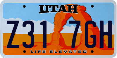 UT license plate Z317GH