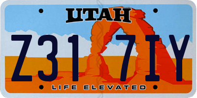 UT license plate Z317IY