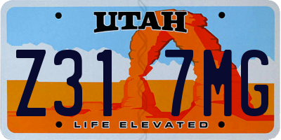 UT license plate Z317MG