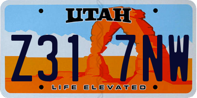 UT license plate Z317NW