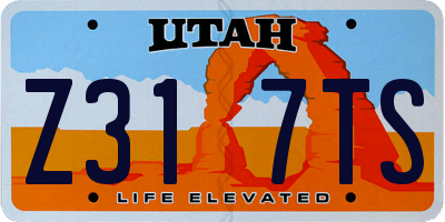 UT license plate Z317TS