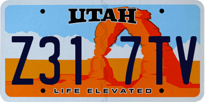 UT license plate Z317TV